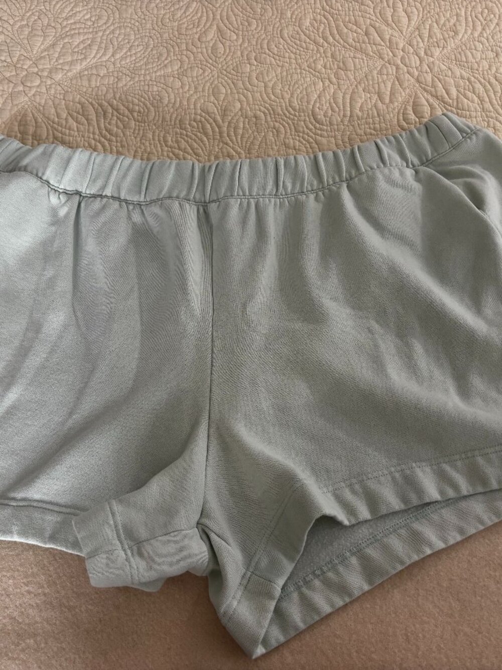 Thick fleece minty green shorts 3X